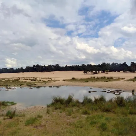 Chalet Chalet In Udenhout With Veranda