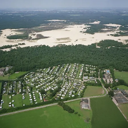 Near Loonse And Drunense Duinen